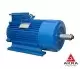 Crane motor MTF412-6 225x30x965, mount 2004