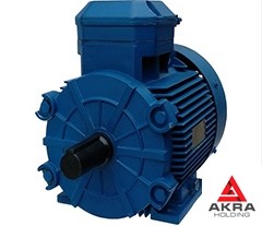 Explosion-proof electric motor, combined mounting 80x1.1x1000