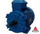 Explosion-proof electric motor, combined mounting 80x0.55x750