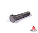 Bolt 30x125 mm k.p. 10.9 GOST 52644