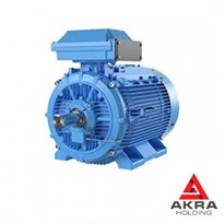 ABB electric motor with cast iron frame, IE2 37x3000x1001 3GBA201420-ADC