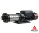 Horizontal pump 2D 2D2000-21 2000x21x160