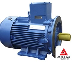 Explosion-proof electric motor, foot mount 250x90x3000