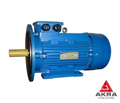 General purpose electric motor AIS 280S6 DIN CENELEC, foot mount