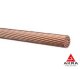 Wire uninsulated PNSV 3 mm