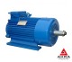 Crane motor МТХ400С10 400х110х573, fastening 2004